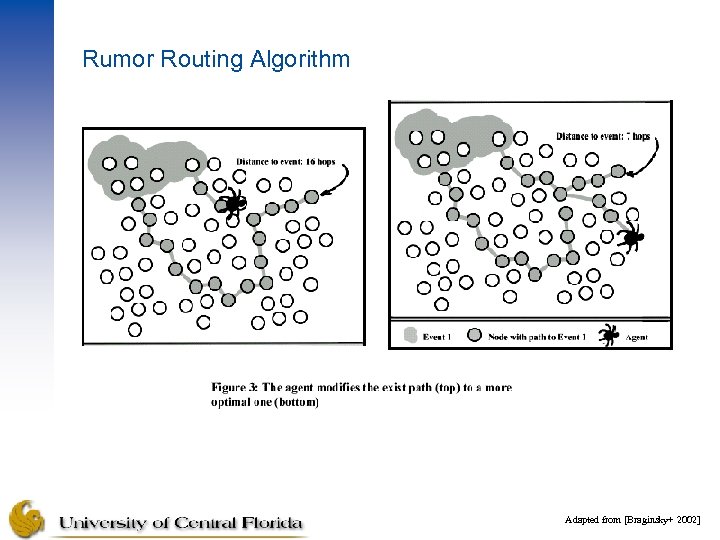 Rumor Routing Algorithm Adapted from [Braginsky+ 2002] 