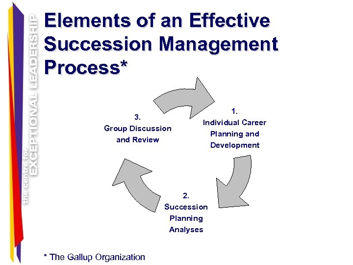 Elements of an Effective Succession Management Process* 3. Group Discussion and Review 1. Individual
