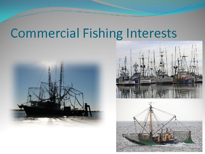 Commercial Fishing Interests 