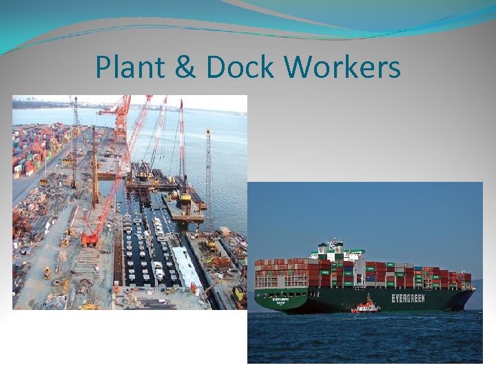 Plant & Dock Workers 