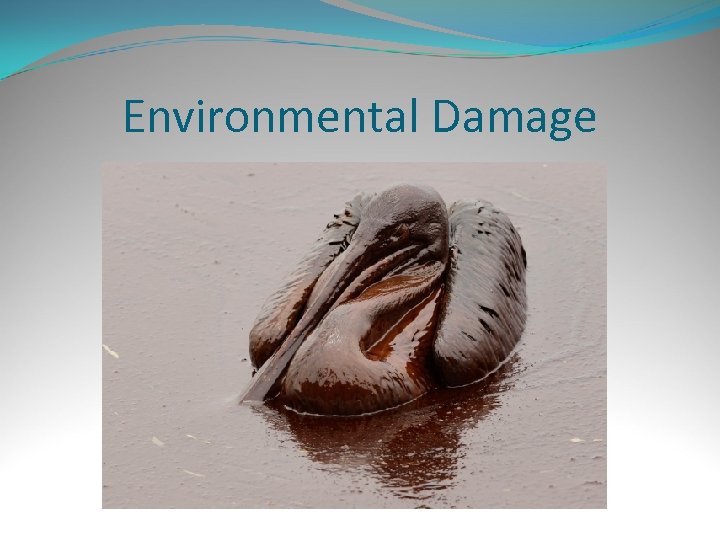 Environmental Damage 