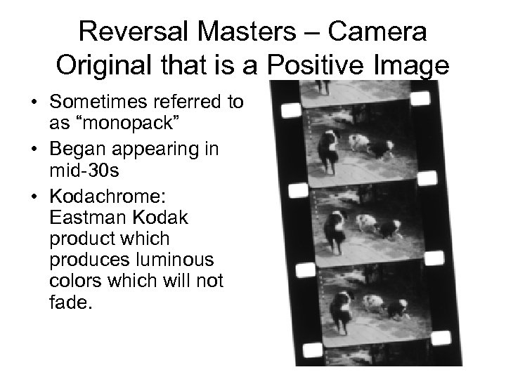 Reversal Masters – Camera Original that is a Positive Image • Sometimes referred to