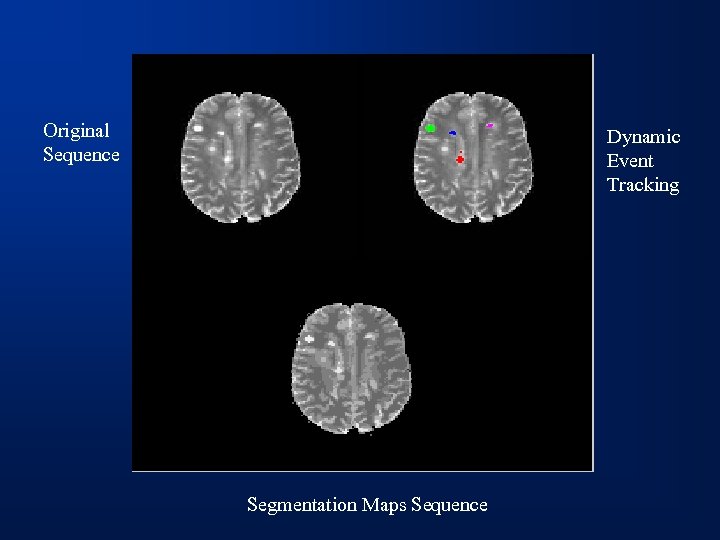 Original Sequence Dynamic Event Tracking Segmentation Maps Sequence 