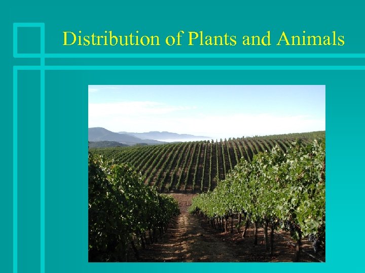 Distribution of Plants and Animals 
