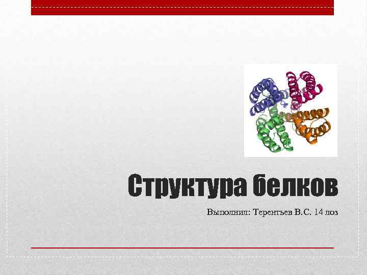Структура белков Выполнил: Терентьев В. С. 14 лоз 
