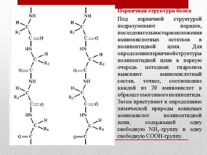 Строительная структура белка