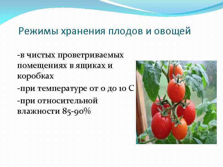 Режимы хранения плодов и овощей -в чистых проветриваемых помещениях в ящиках и коробках -при