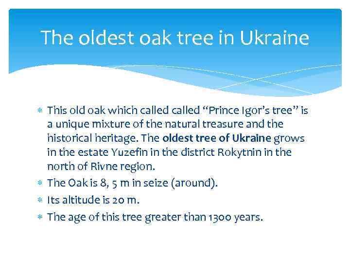 The oldest oak tree in Ukraine This old oak which called “Prince Igor’s tree”
