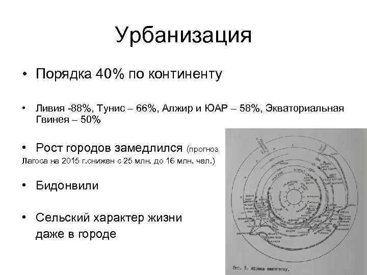 Урбанизация • Порядка 40% по континенту • Ливия -88%, Тунис – 66%, Алжир и