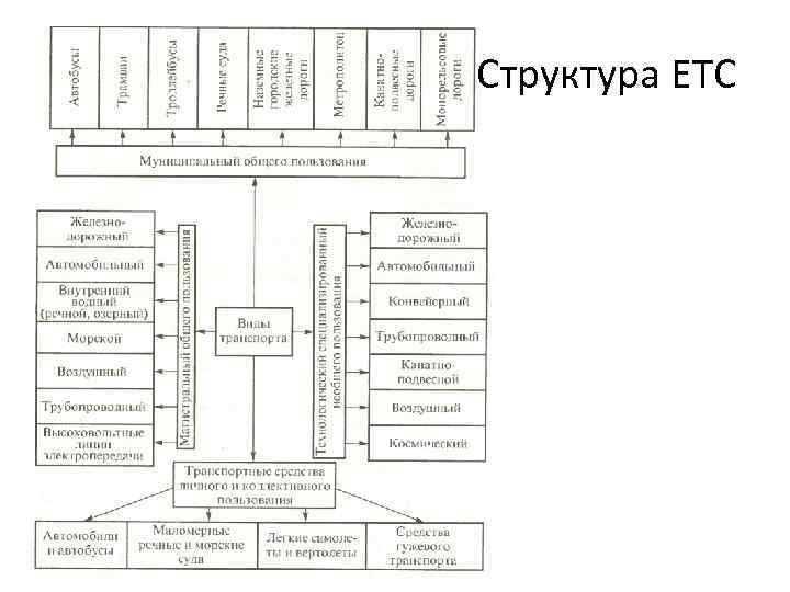 Структура ЕТС 