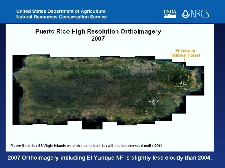 2007 Orthoimagery including El Yunque NF is slightly less cloudy than 2004. 