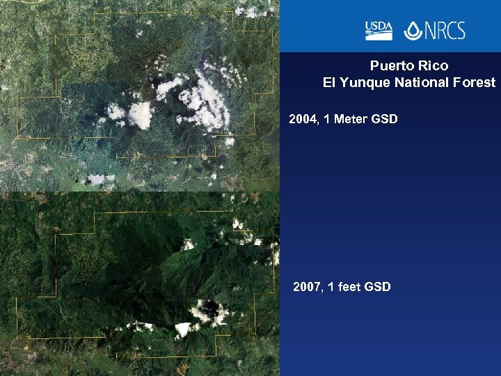 Puerto Rico El Yunque National Forest 2004, 1 Meter GSD 2007, 1 feet GSD