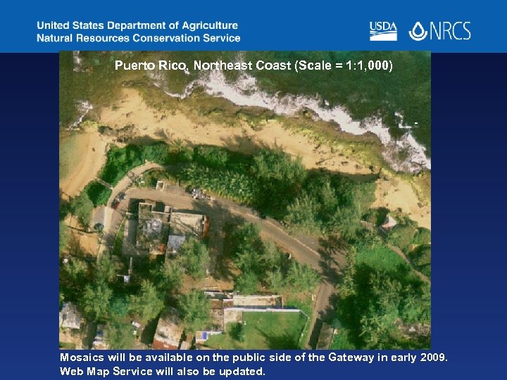 Puerto Rico, Northeast Coast (Scale = 1: 1, 000) - Mosaics will be available