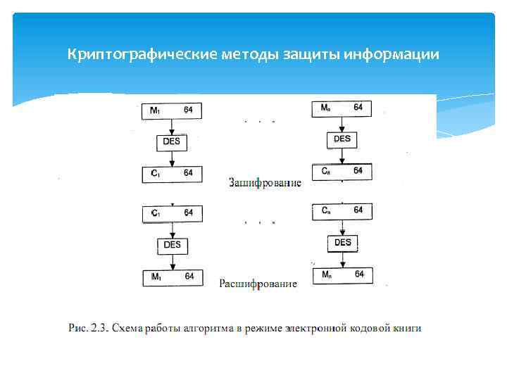 Криптографические методы защиты информации 