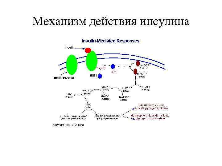 Срок годности инсулина