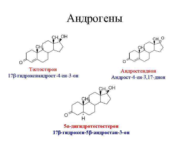 Андрогены Тестостерон 17β-гидроксиандрост-4 -ен-3 -он Андростендион Андрост-4 -ен-3, 17 -дион 5α-дигидротестостерон 17β-гидрокси-5β-андростан-3 -он 