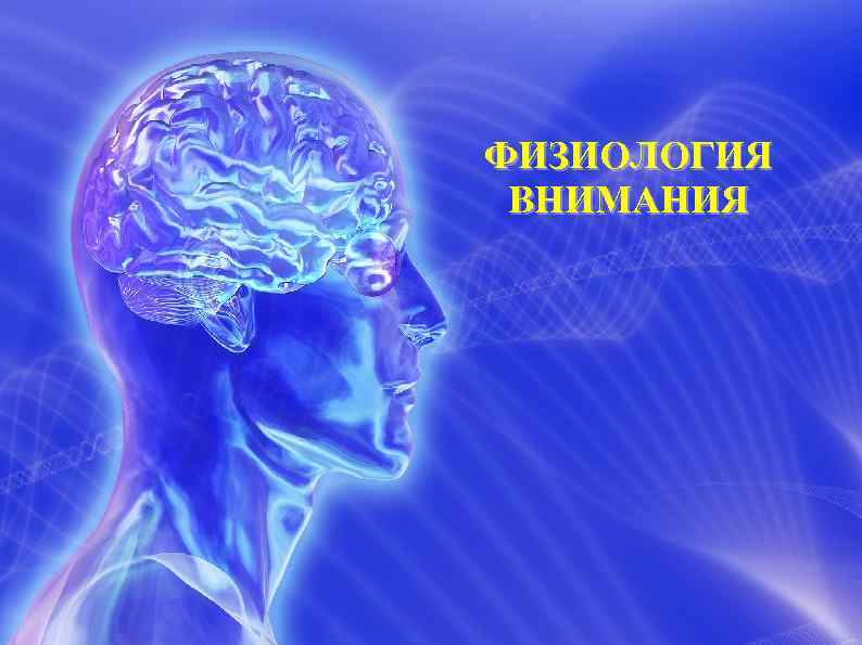 ФИЗИОЛОГИЯ ВНИМАНИЯ 