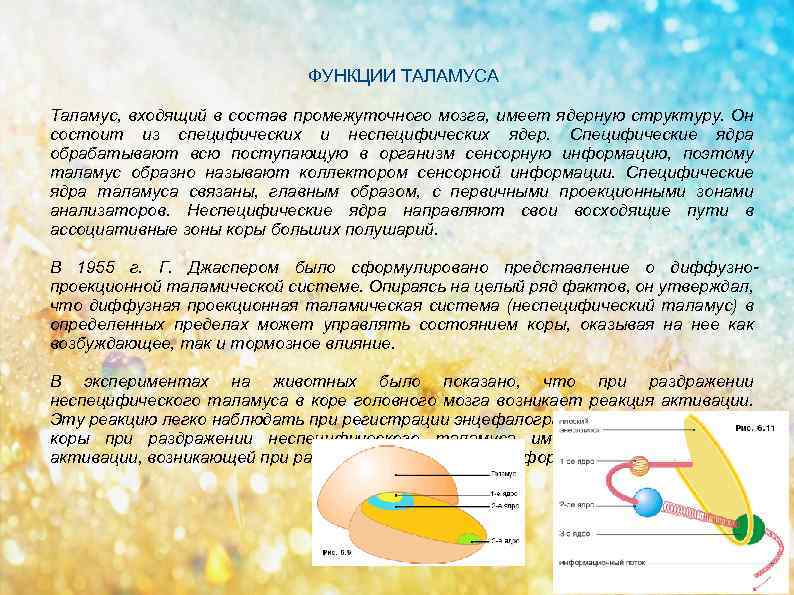 ФУНКЦИИ ТАЛАМУСА Таламус, входящий в состав промежуточного мозга, имеет ядерную структуру. Он состоит из
