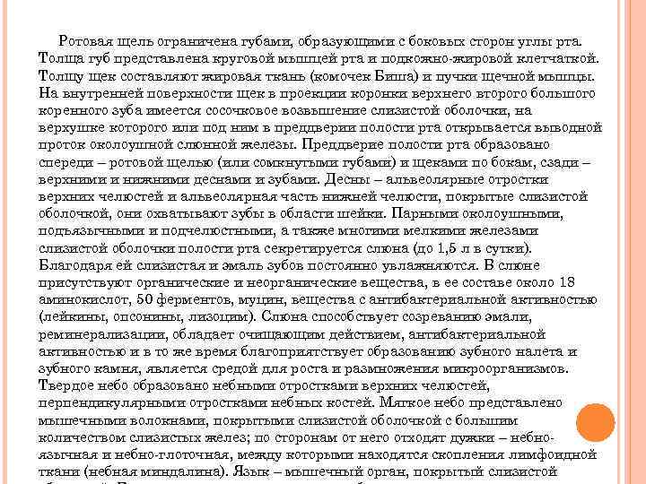 Ротовая щель ограничена губами, образующими с боковых сторон углы рта. Толща губ представлена круговой