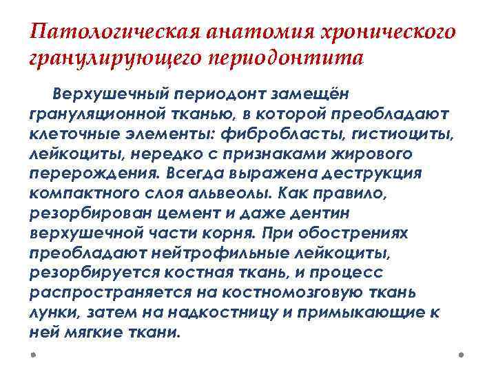 Патологическая анатомия хронического гранулирующего периодонтита Верхушечный периодонт замещён грануляционной тканью, в которой преобладают клеточные