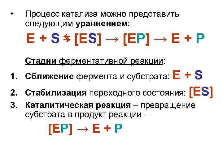  • Процесс катализа можно представить следующим уравнением: E + S ⇆ [ES] →