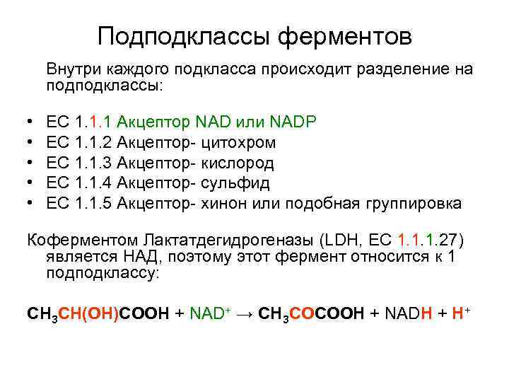 Подподклассы ферментов Внутри каждого подкласса происходит разделение на подподклассы: • • • EC 1.