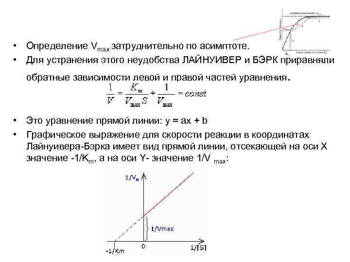  • Определение Vmax затруднительно по асимптоте. • Для устранения этого неудобства ЛАЙНУИВЕР и