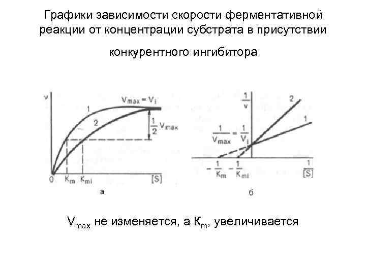 Графики зависимости скорости ферментативной реакции от концентрации субстрата в присутствии конкурентного ингибитора Vmax не