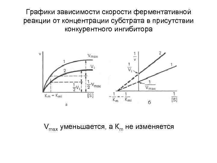 Графики зависимости скорости ферментативной реакции от концентрации субстрата в присутствии конкурентного ингибитора Vmax уменьшается,