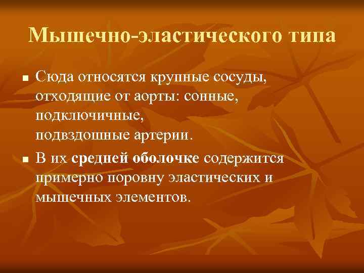 Мышечно-эластического типа n n Сюда относятся крупные сосуды, отходящие от аорты: сонные, подключичные, подвздошные