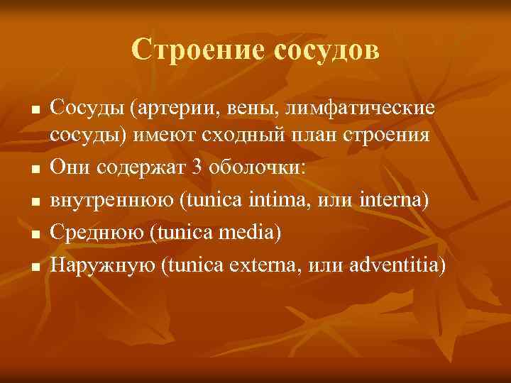 Строение сосудов n n n Сосуды (артерии, вены, лимфатические сосуды) имеют сходный план строения