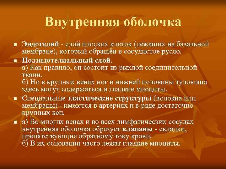Внутренняя оболочка n n Эндотелий - слой плоских клеток (лежащих на базальной мембране), который