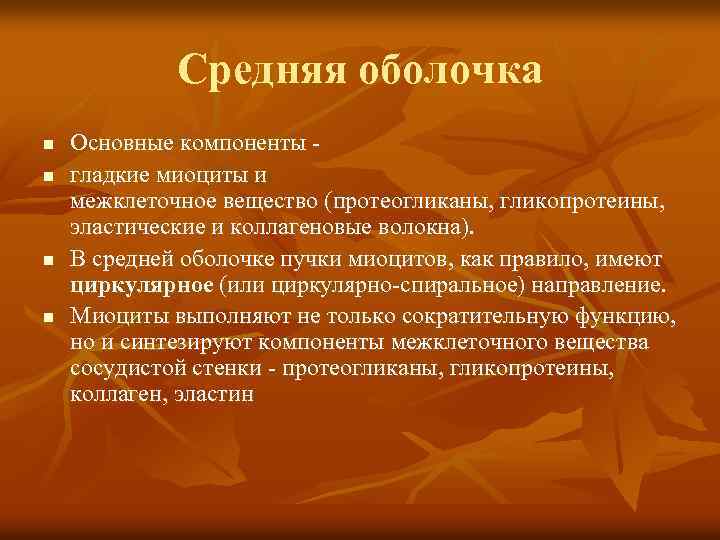 Средняя оболочка n n Основные компоненты гладкие миоциты и межклеточное вещество (протеогликаны, гликопротеины, эластические