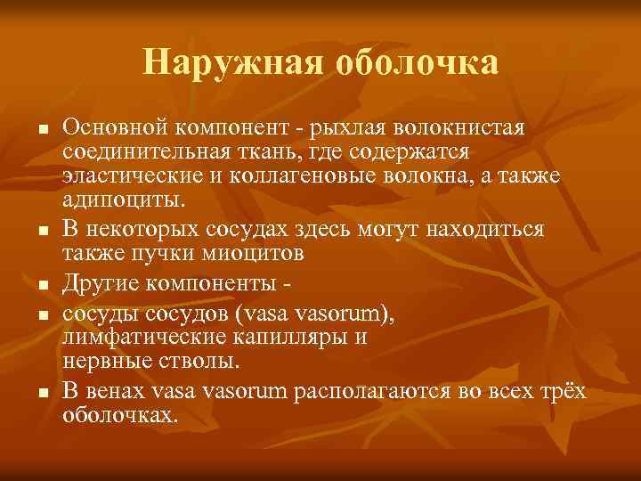 Наружная оболочка n n n Основной компонент - рыхлая волокнистая соединительная ткань, где содержатся