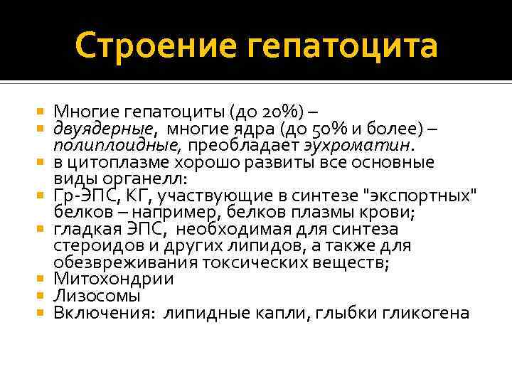 Строение гепатоцита Многие гепатоциты (до 20%) – двуядерные, многие ядра (до 50% и более)