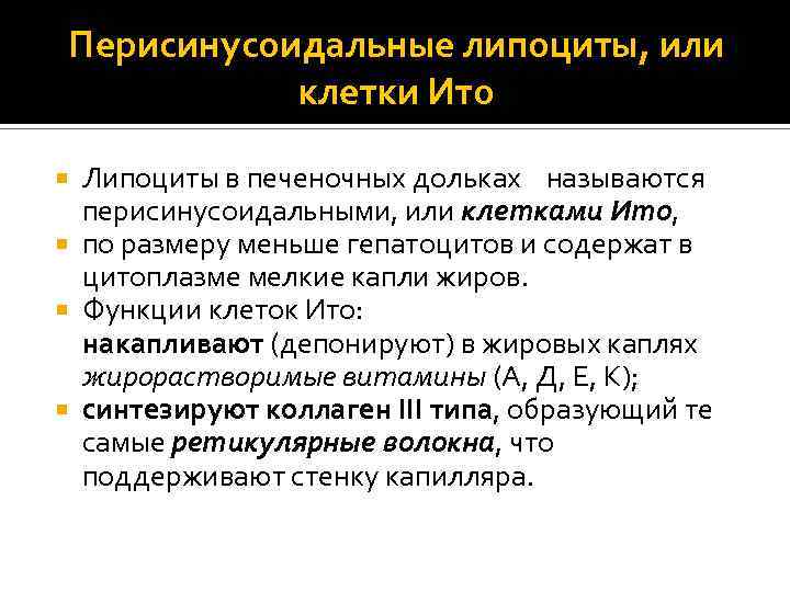 Перисинусоидальные липоциты, или клетки Ито Липоциты в печеночных дольках называются перисинусоидальными, или клетками Ито,