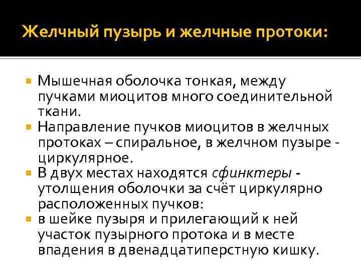Желчный пузырь и желчные протоки: Мышечная оболочка тонкая, между пучками миоцитов много соединительной ткани.