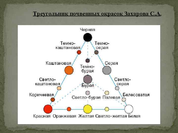 Треугольник почвенных окрасок Захарова С. А. 