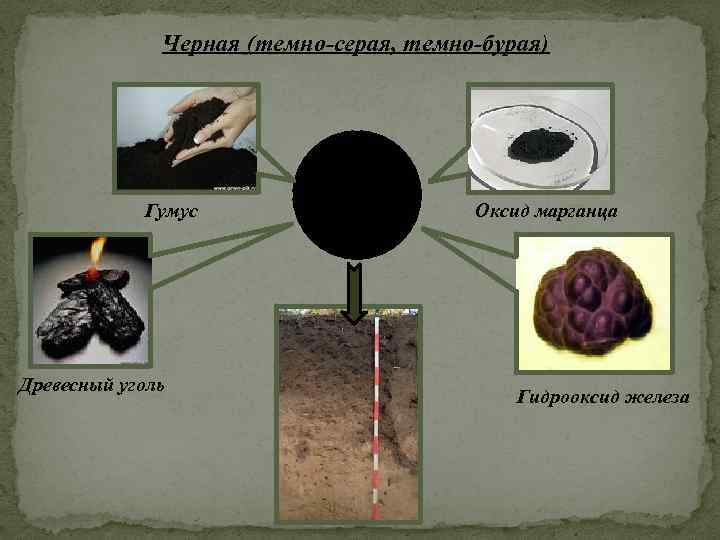 Черная (темно-серая, темно-бурая) Гумус Древесный уголь Оксид марганца Гидрооксид железа 
