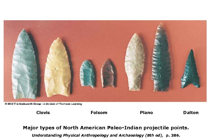 Clovis Folsom Plano Dalton Major types of North American Paleo-Indian projectile points. Understanding Physical