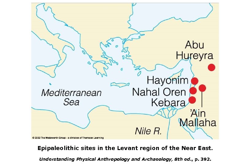 Epipaleolithic sites in the Levant region of the Near East. Understanding Physical Anthropology and