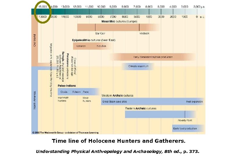 Time line of Holocene Hunters and Gatherers. Understanding Physical Anthropology and Archaeology, 8 th