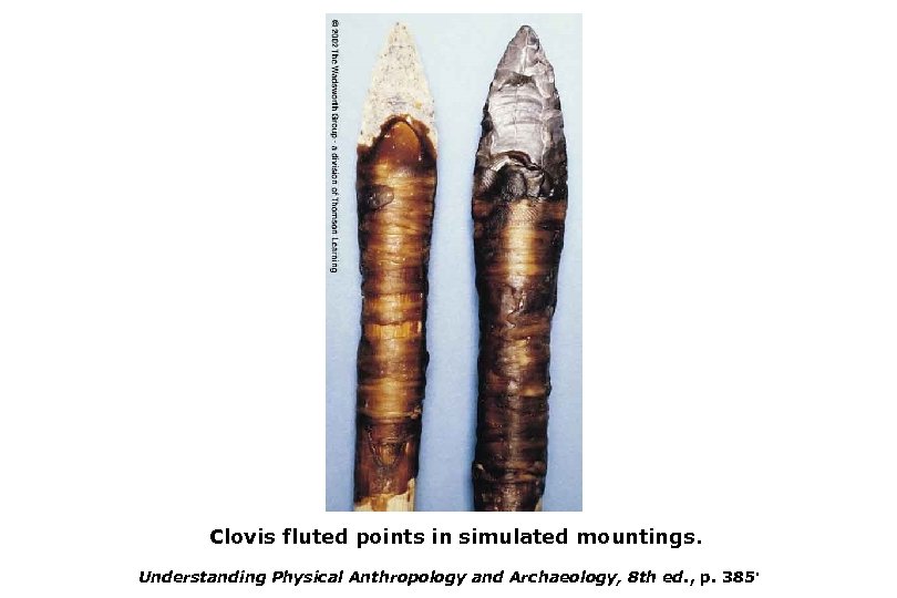 Clovis fluted points in simulated mountings. Understanding Physical Anthropology and Archaeology, 8 th ed.
