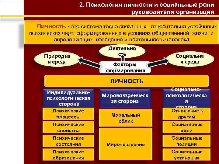 Уровни развития организации личности