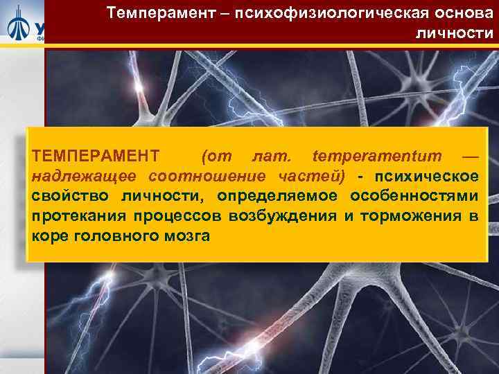 Темперамент – психофизиологическая основа личности ТЕМПЕРАМЕНТ (от лат. temperamentum — надлежащее соотношение частей) -