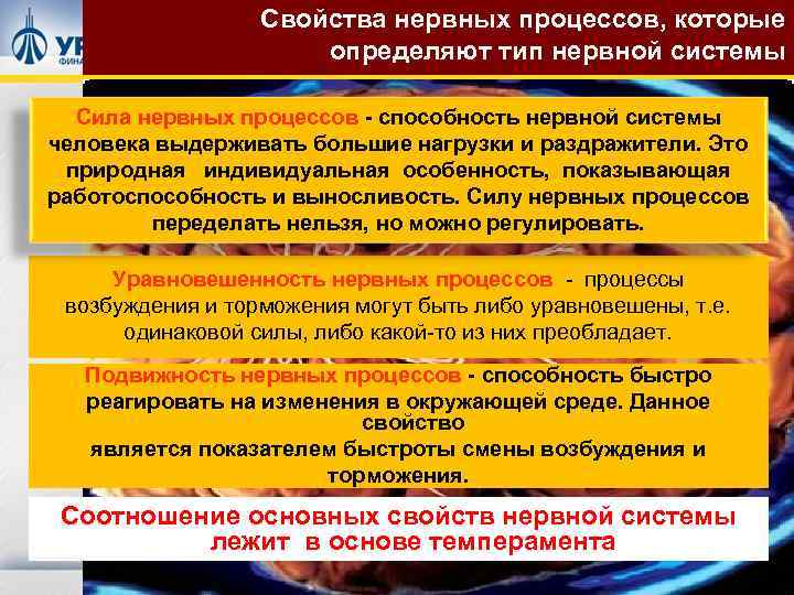 Свойства нервных процессов, которые определяют тип нервной системы Сила нервных процессов - способность нервной