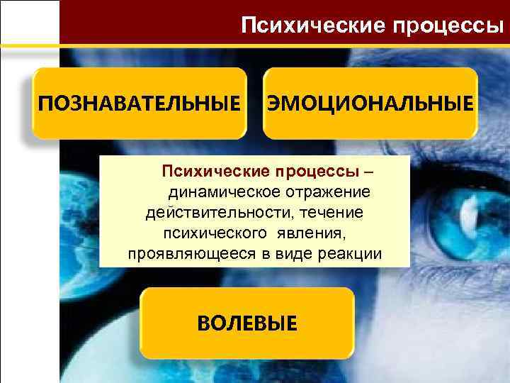 Психические процессы ПОЗНАВАТЕЛЬНЫЕ ЭМОЦИОНАЛЬНЫЕ Психические процессы – динамическое отражение действительности, течение психического явления, проявляющееся