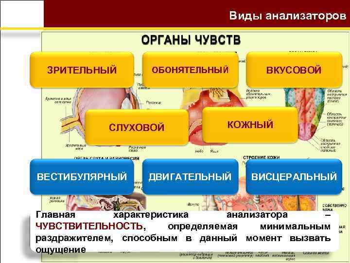 Начало римской истории презентация 5 класс михайловский