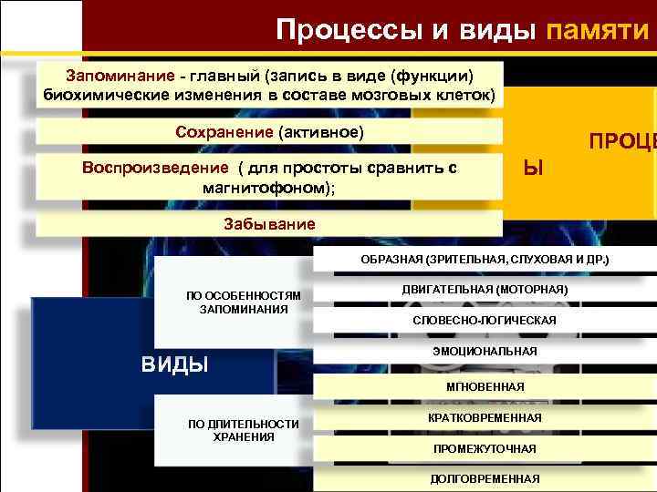 Процессы и виды памяти Запоминание - главный (запись в виде (функции) биохимические изменения в