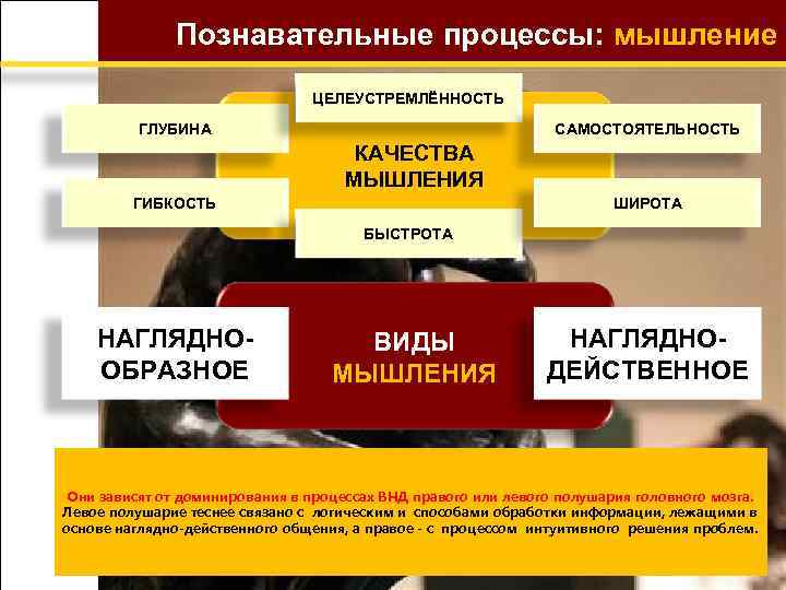 Познавательные процессы: мышление ЦЕЛЕУСТРЕМЛЁННОСТЬ ГЛУБИНА САМОСТОЯТЕЛЬНОСТЬ КАЧЕСТВА МЫШЛЕНИЯ ГИБКОСТЬ ШИРОТА БЫСТРОТА НАГЛЯДНООБРАЗНОЕ ВИДЫ МЫШЛЕНИЯ